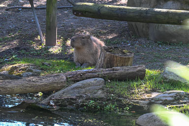 CEI_6053.jpg