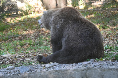CEI_7067.jpg