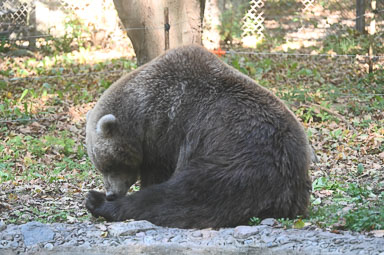 CEI_7069.jpg
