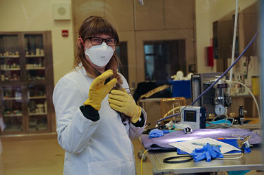 March 16, 2023 'Dexter' Fruit Bat