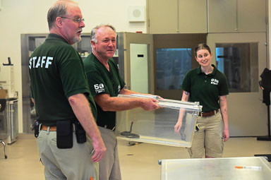 July 14, 2024 Massasauga Rattlesnake