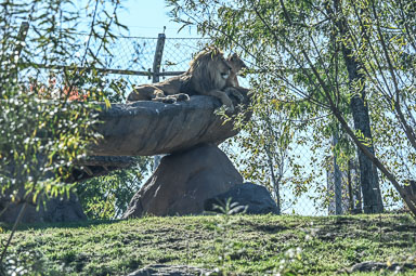 CEI_7168.jpg