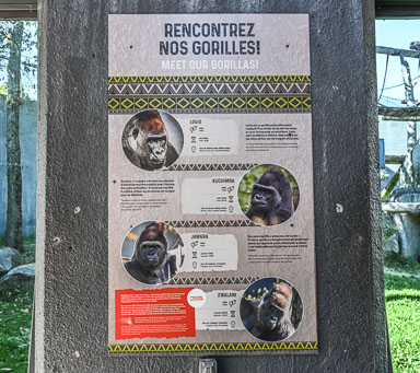 CEI_7185.jpg