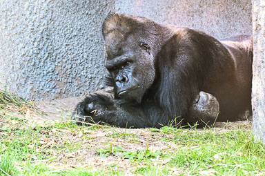 CEI_7190.jpg