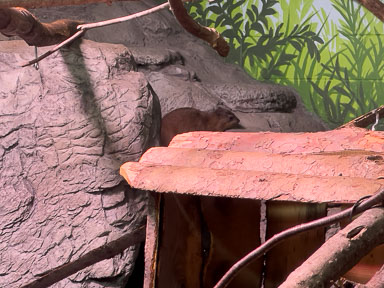 Zoo de Granby