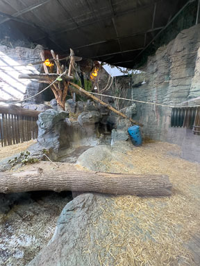 IMG_7160.jpg