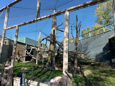 IMG_7178.jpg
