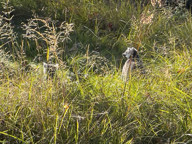 IMG_7215.jpg